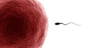 Mejorar la fertilidad